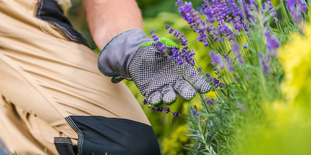 12 Must-Have Landscaping Tools